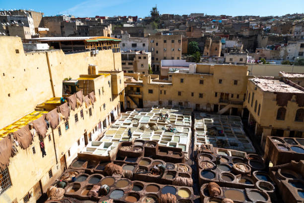 istock Tannery of Fez 1395410938