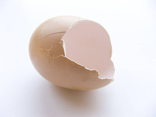 istock Skinegg 001 139541097