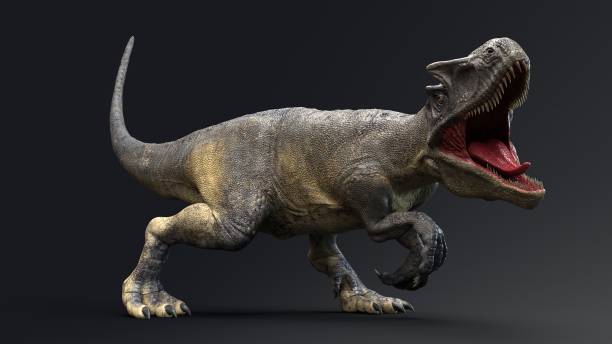 Allosaurus dinosaur of background. 3d rendering stock photo