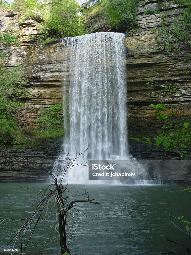 Paysage de cascade tropicale - Photo de Cascade libre de droits