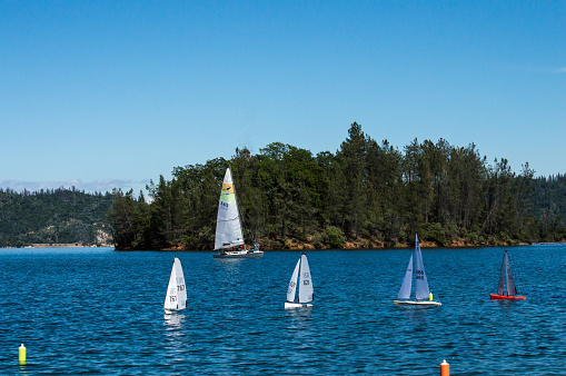 Model sailboats race in a regatta on Whiskeytown National Recreation Area Lake in Northern California USA