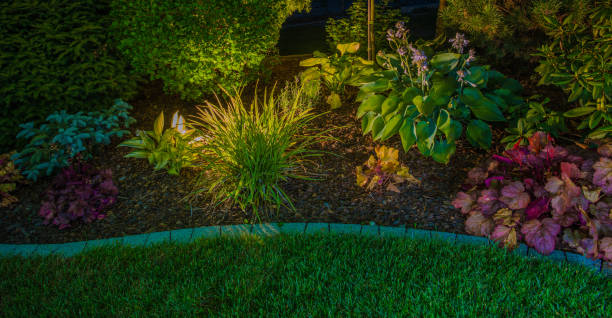 istock Rockery Garden Illuminated with LED Lights 1395417929