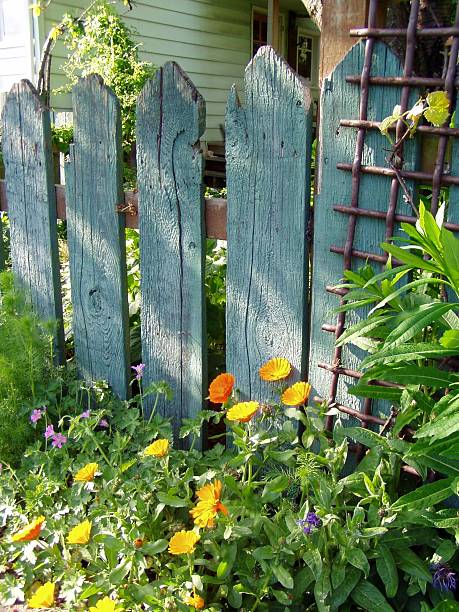 istock Garden Fence in Seattle 139541858