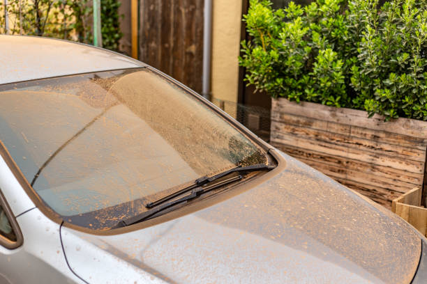 Car body covered by dust from the Sahara desert. Orange atmosphere due to the Saharan dust in the environment. The Saharan dust on the leaves of plants acts as a natural fertilizer. Madrid, Spain. March 15 2022. Car body covered by dust from the Sahara desert. Orange atmosphere due to the Saharan dust in the environment. The Saharan dust on the leaves of plants acts as a natural fertilizer. desert wash stock pictures, royalty-free photos & images