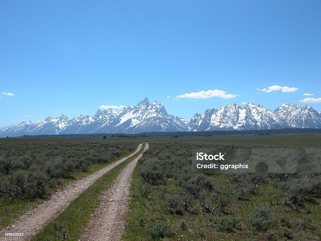 Grand Tetons with Rutted road Agricultural Field Stock Photo