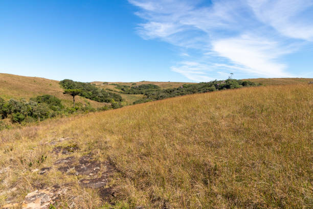 istock Farm field with forest and blue sky 1395420756