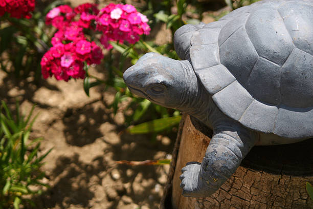 A turtle statue in a garden.