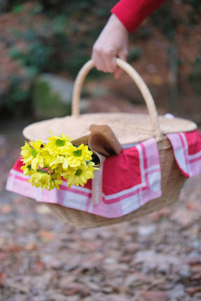 istock nature picnic in autumn 1395421882
