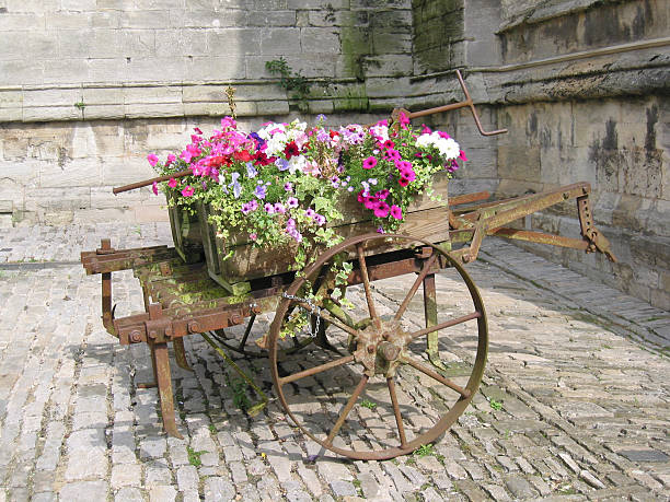 istock Flowers in Wheel Barrow 139542253