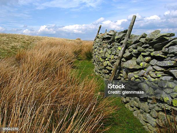 Drystone Pared 3 Foto de stock y más banco de imágenes de Abandonado - Abandonado, Agricultura, Aire libre