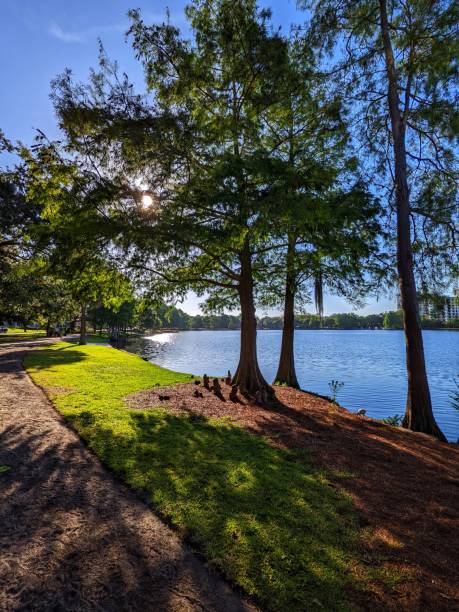 istock Lake Eola Orlando Florida 1395426174