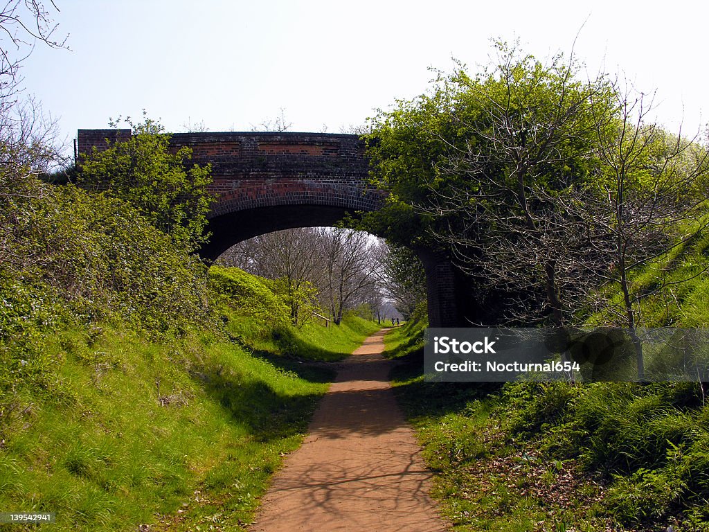 La strada per il nulla - Foto stock royalty-free di Ala di animale