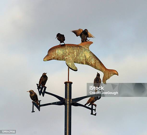 Photo libre de droit de Girouette banque d'images et plus d'images libres de droit de Angleterre - Angleterre, Antenne individuelle, Antennes