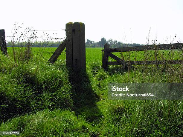 Praderas Nuevo Foto de stock y más banco de imágenes de Agricultura - Agricultura, Aire libre, Amarrado