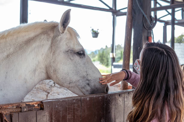 istock A woman lovingly caresses a white horse in her stable 1395430088
