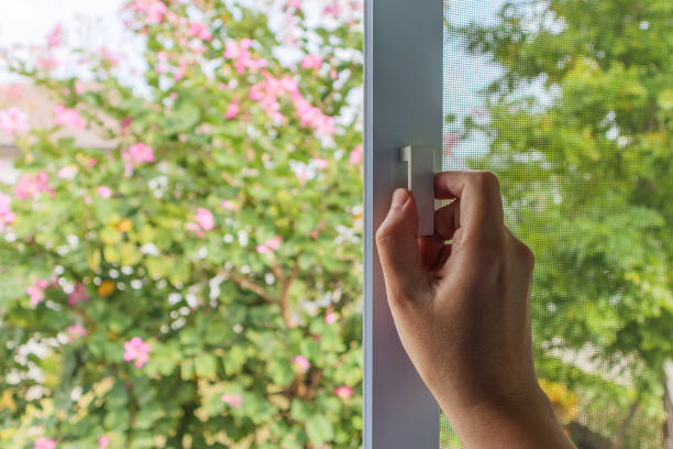 istock Hand hold mosquito net wire screen handle on house window 1395432775