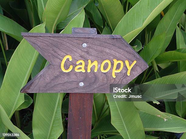 Canopy Foto de stock y más banco de imágenes de Aire libre - Aire libre, Amarillo - Color, Bosque pluvial