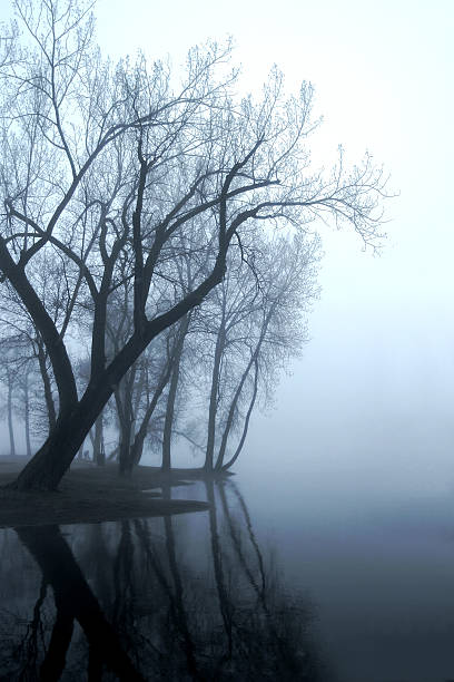 istock Mississippi Fog 139543481