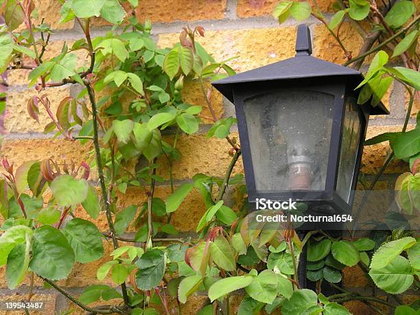 Verwitterte Lampe Stockfoto und mehr Bilder von Außenaufnahme von Gebäuden - Außenaufnahme von Gebäuden, Beleuchtet, Blatt - Pflanzenbestandteile