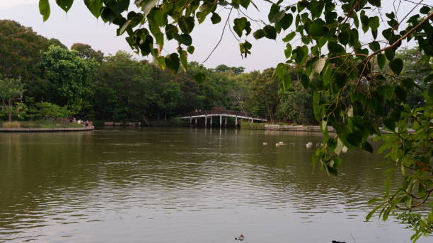 istock Bang Krachao park, Bangkok, Thailand 1395435265