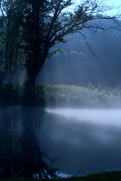 istock Another Foggy Night 139543651
