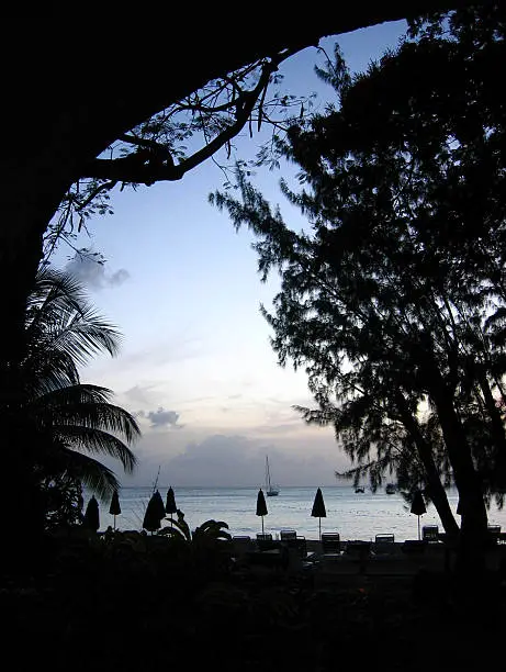 A Barbados beach at sunset, with trees and arch silhouetted in the foreground and the sea and blue sky beyond.