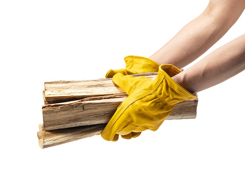 A male hand wearing yellow leather gloves holds firewood against a white background. Camping, forestry concept.