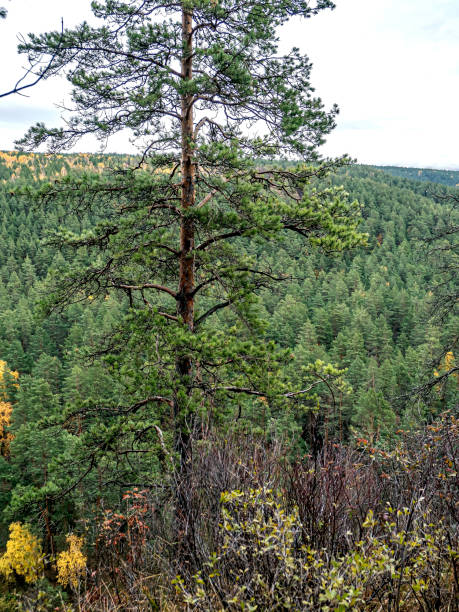 istock autumn view from the rocky river bank 1395440544
