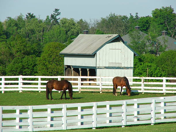 istock Kentucky Horse Park 139544457