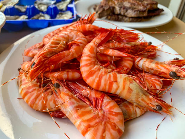 Cooked shrimps of local seafood, Airlie Beach, Australia stock photo