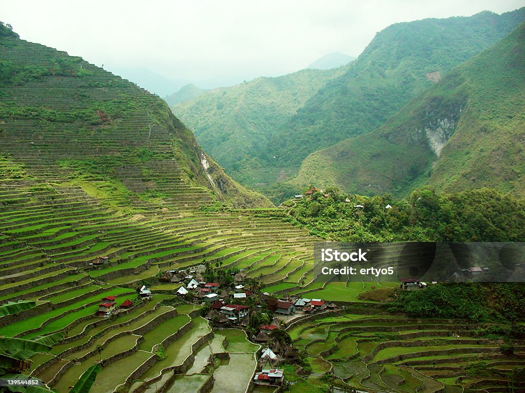 Arroz das Filipinas Terraces - Royalty-free Filipinas Foto de stock