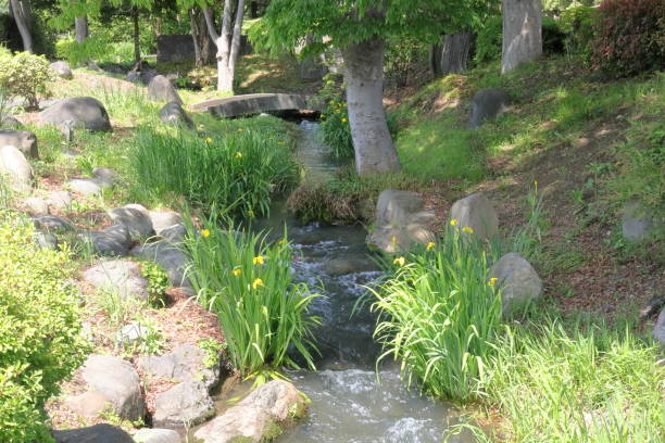 istock Scenery of Yamanashi Prefecture, Japan 1395450284
