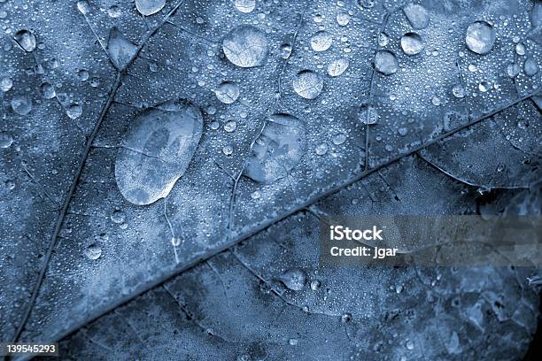 블루 잎 물 방울 0명에 대한 스톡 사진 및 기타 이미지 - 0명, 고요한 장면, 단순함