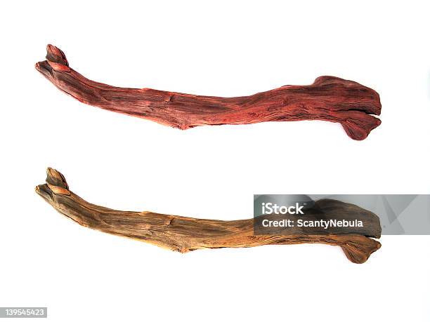 Treibholz Stockfoto und mehr Bilder von Holzstamm - Holzstamm, Bauholz, Baum
