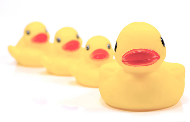 istock Rubber Duck Family 139545433