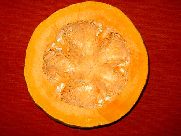 the inside of a pumpkin stock photo