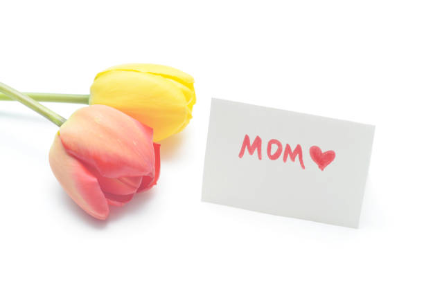 Closeup of tulips with a homemade card on a white background for Mother's Day.