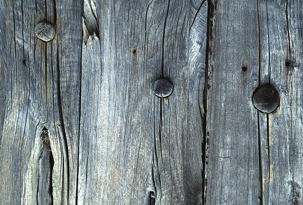 Aged Wood Close-Up stock photo