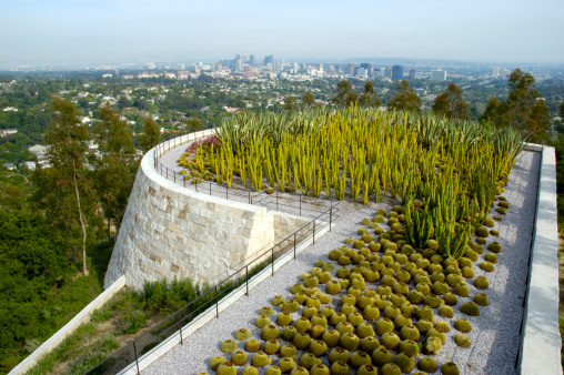 Skyline. View of downtown Los Angeles, freeway 405, garden, horizon.