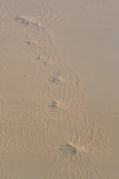 Sand Dunes stock photo