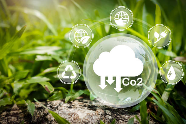 istock Sustainable development and business based on renewable energy. Reduce CO2 emission concept in the hand for environmental. Renewable energy-based green businesses can limit climate change and global warming. 1395462080