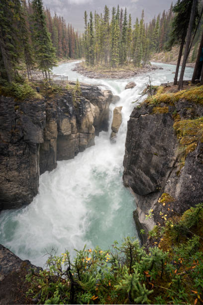 istock Beautiful alpine waterfall on a cloudy day, vertical shot, Jasper National Park, Canada 1395462731