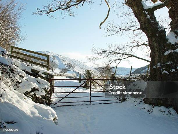 Photo libre de droit de Au Pays De Galles En Hiver banque d'images et plus d'images libres de droit de Neige - Neige, Powys, Arbre