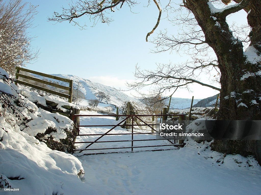 Galles in inverno - Foto stock royalty-free di Neve