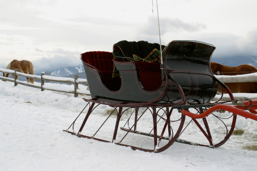 Horse drawn buggy