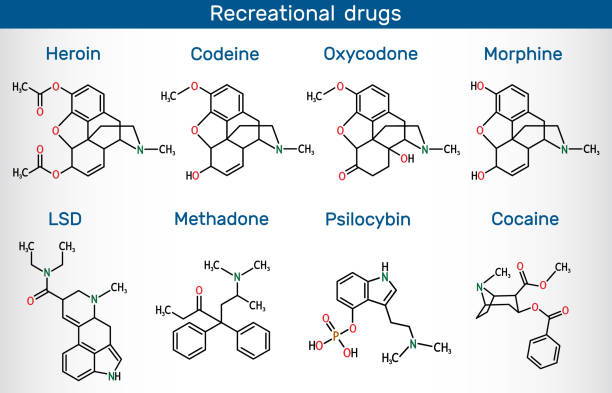 Psychoactive drugs: lysergic acid diethylamide (LSD), oxycodone, heroin, codeine, methadone, morphine, cocaine, psilocybin. Recreational drugs skeletal molecules. Psychoactive drugs: lysergic acid diethylamide (LSD), oxycodone, heroin, codeine, methadone, morphine, cocaine, psilocybin. Recreational drugs skeletal molecules. Vector methadone stock illustrations