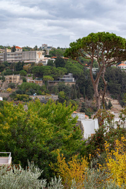 istock Deir El Kamar located in Lebanon 1395468425