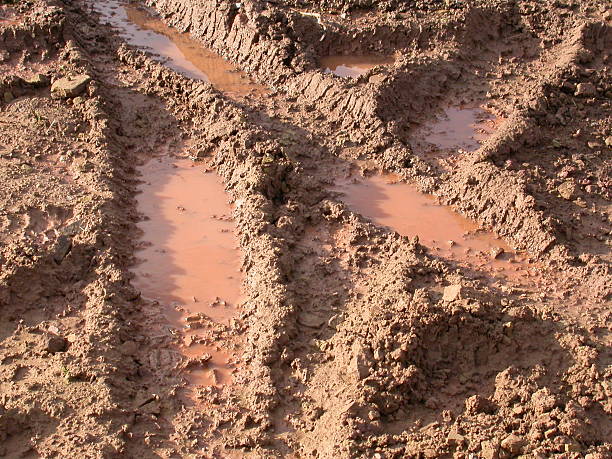 Neumáticos pistas en barro - foto de stock