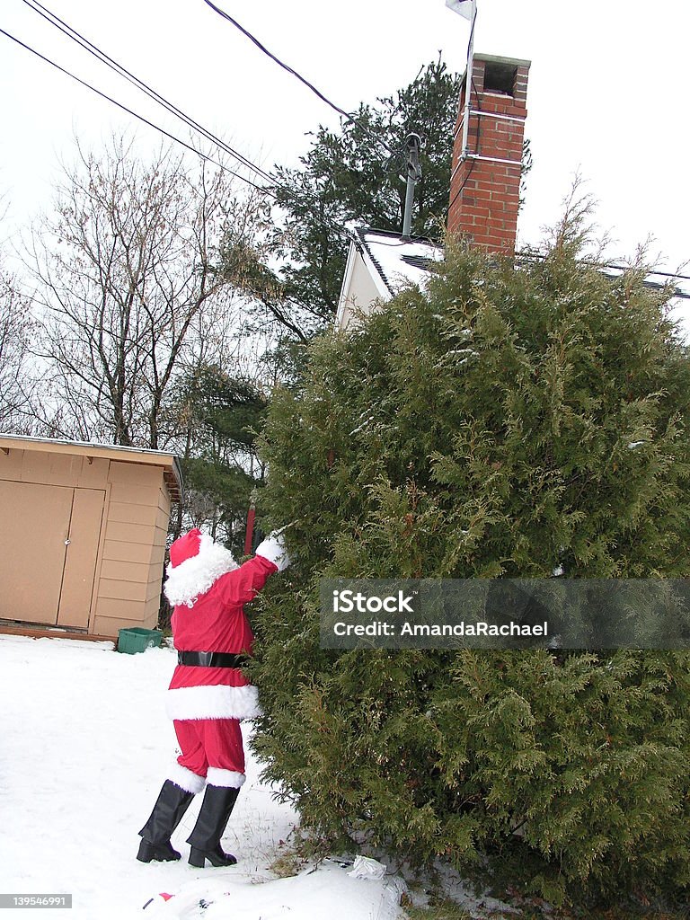 santa den Baum - Lizenzfrei Steigen Stock-Foto