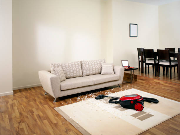 istock vacuum cleaner in a living room 1395470204